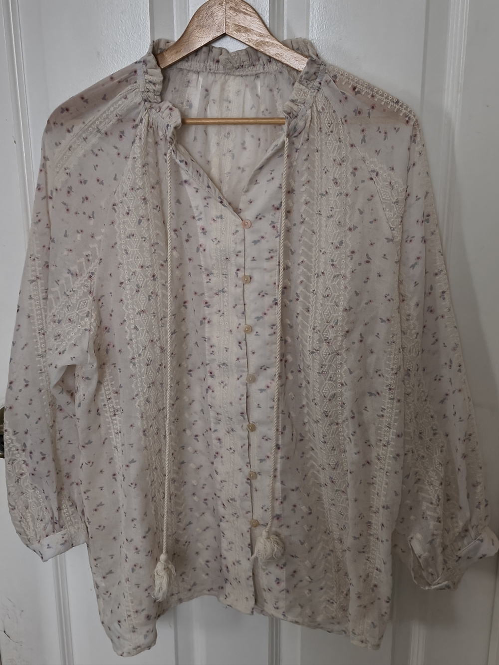 Sheer Long Sleeve Button Up Blouse Embroidery Tassels Whimsical Boho Floral 2X